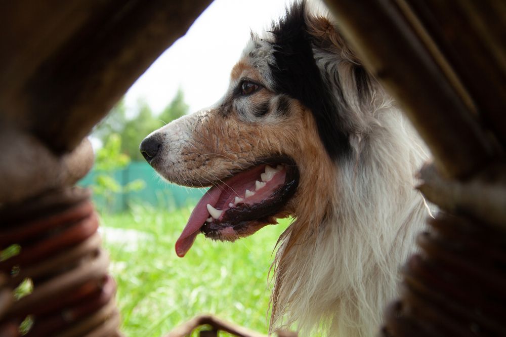 Фотография автора Анна Алексеенко