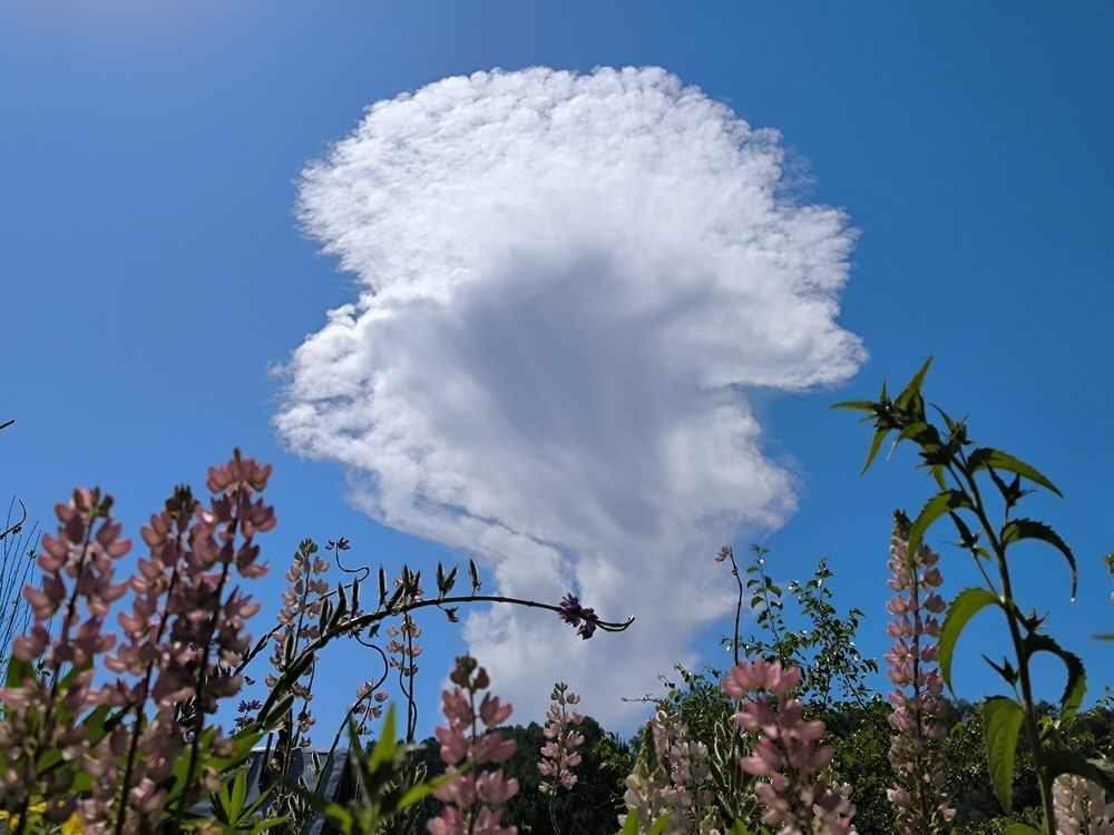 Фотография автора Александр Осинцев