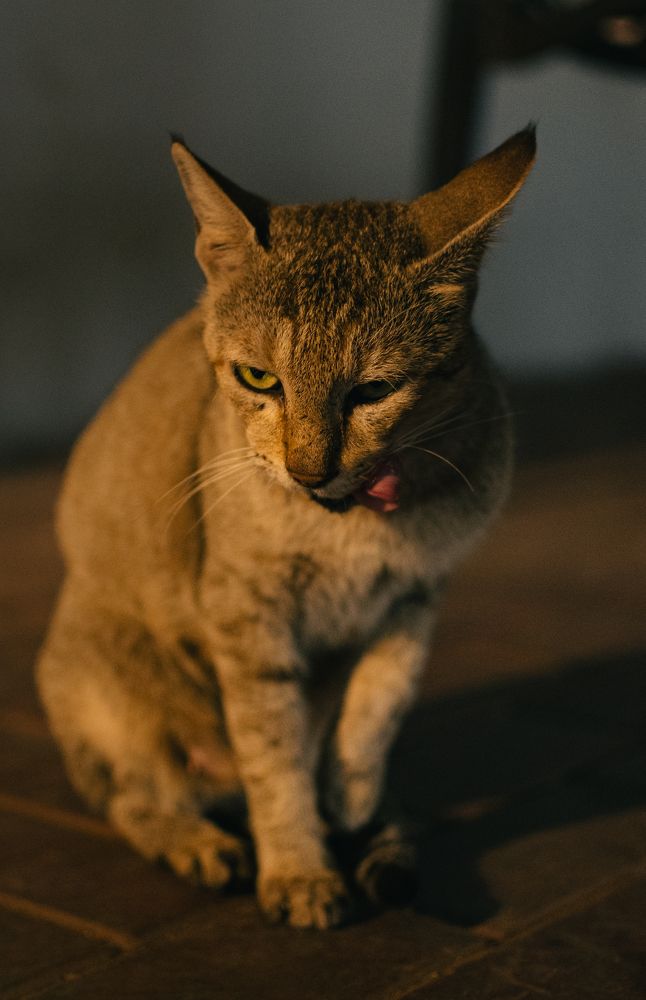 Photograph by Nomesh Patel