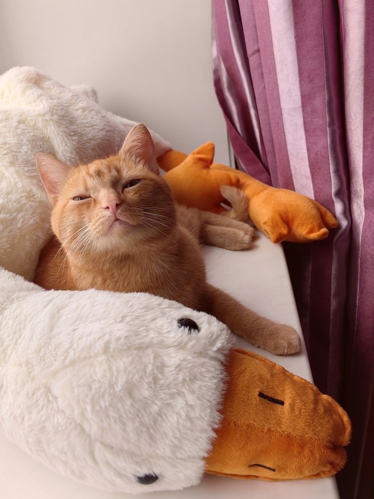 Photograph by Римма Бобрякова