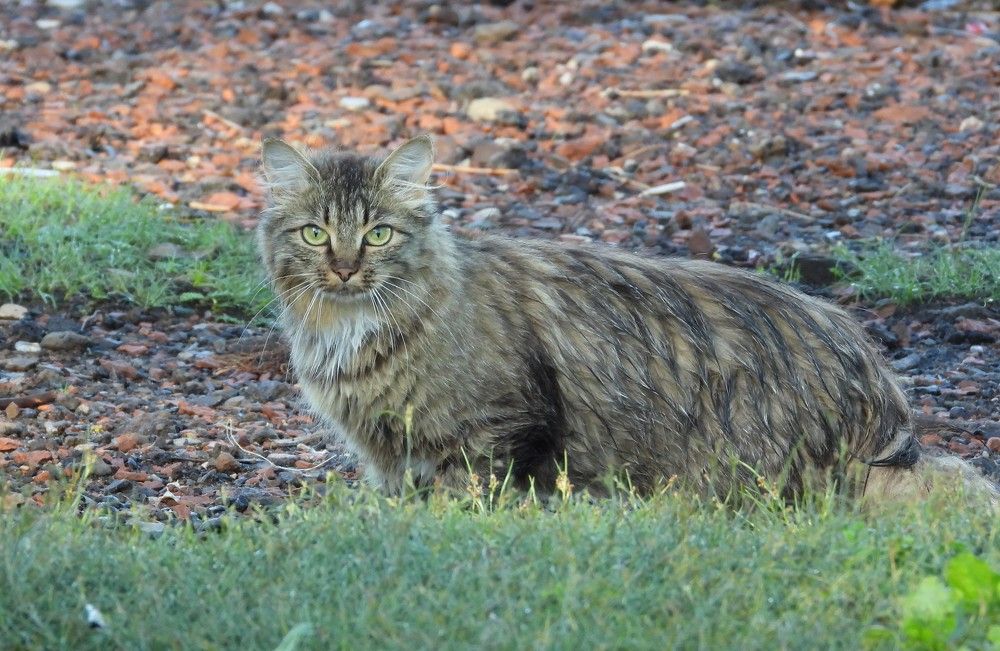 Photograph by Владимир Джерихов