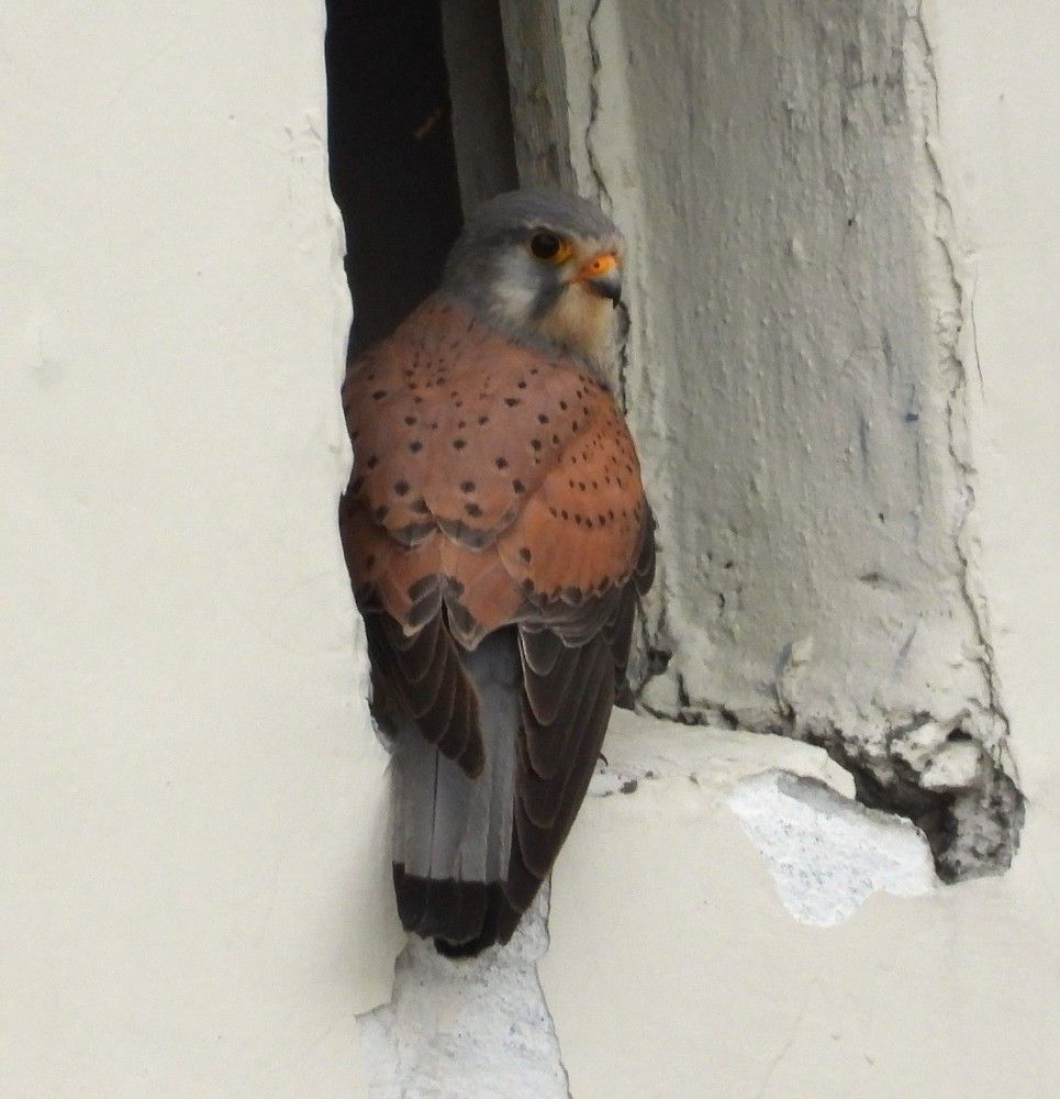 Photograph by Владимир Джерихов