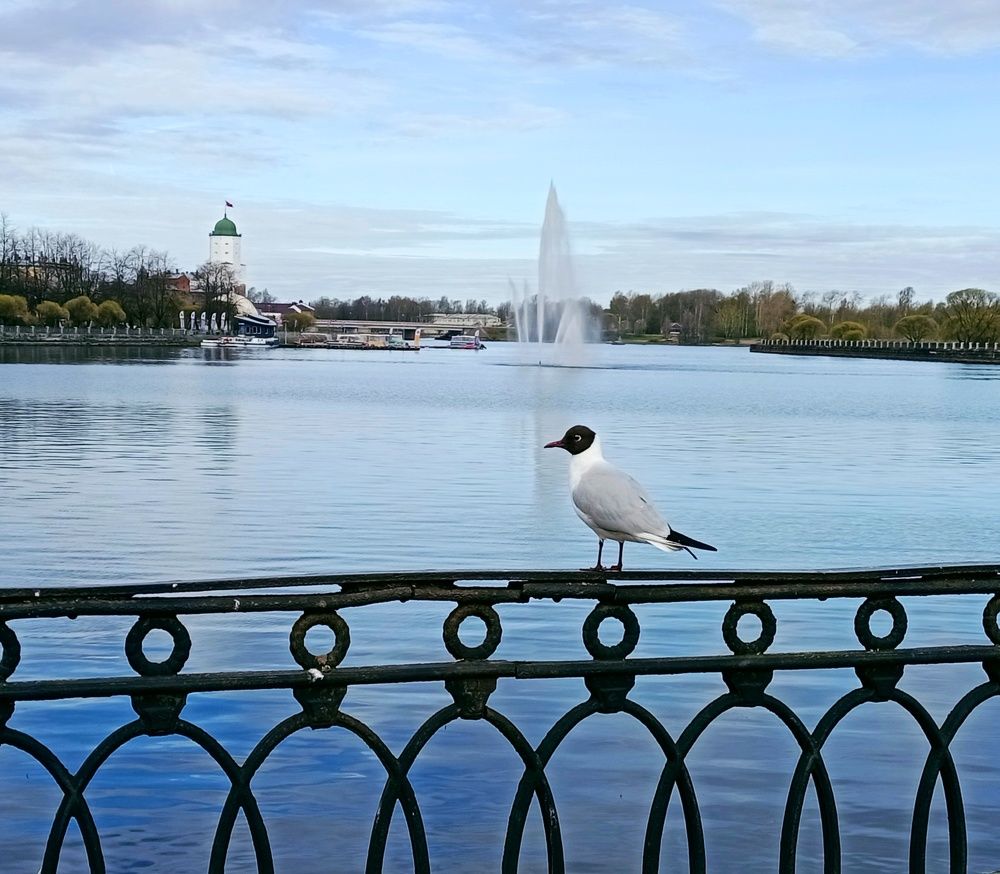 Photograph by Sergey Kurkov-Tarkovsky