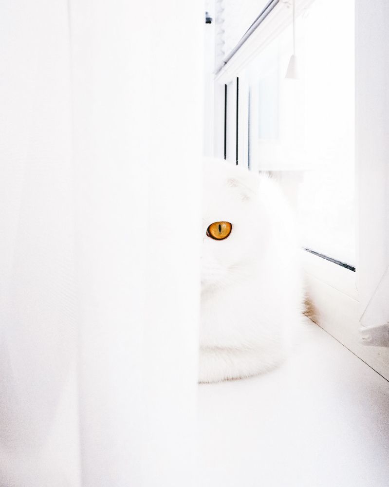 Photograph by Екатерина Савеня