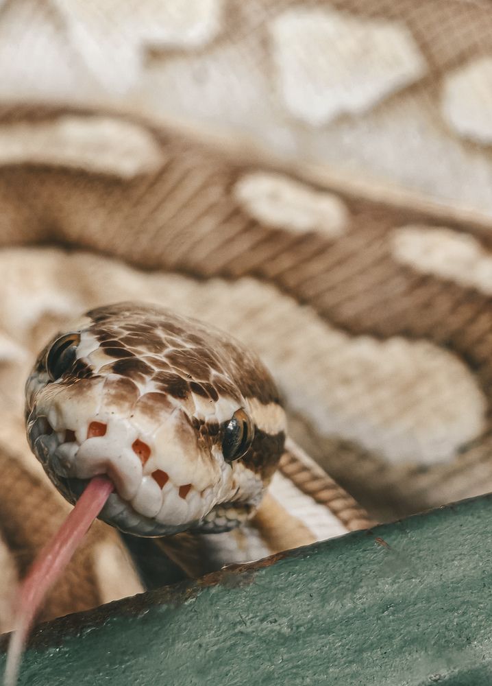 Photograph by Екатерина Савеня