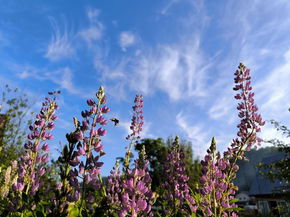Фотография автора Александр Осинцев