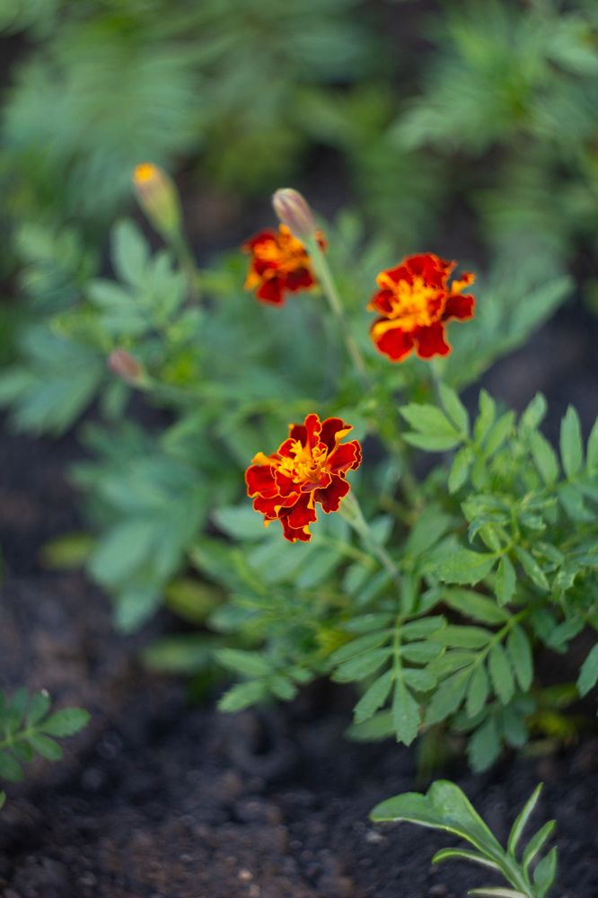 Photograph by Александр Коковихин