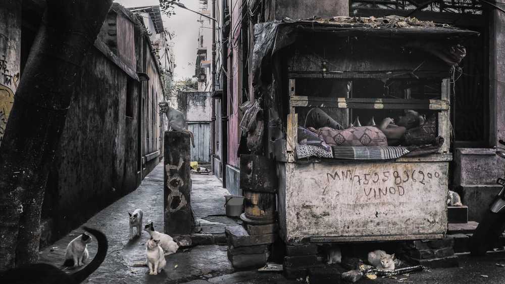 Фотография автора SANJAY BOSE