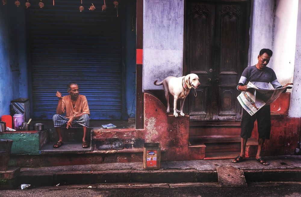 Фотография автора SANJAY BOSE