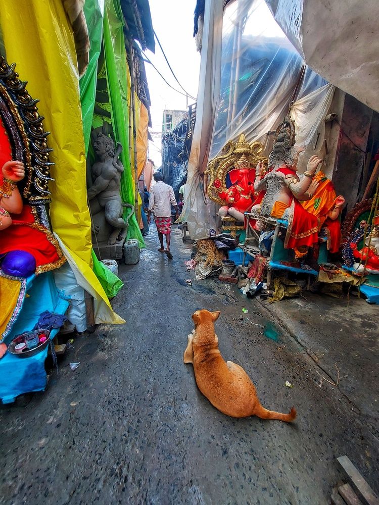 Фотография автора SANJAY BOSE