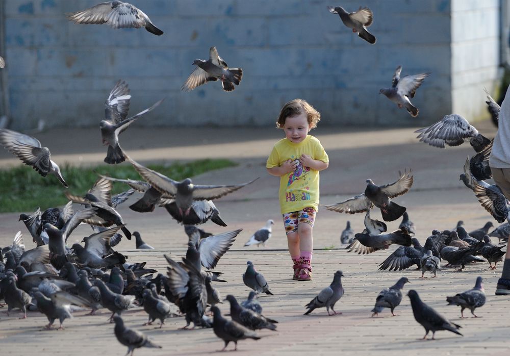 Photograph by Михаил Егоров