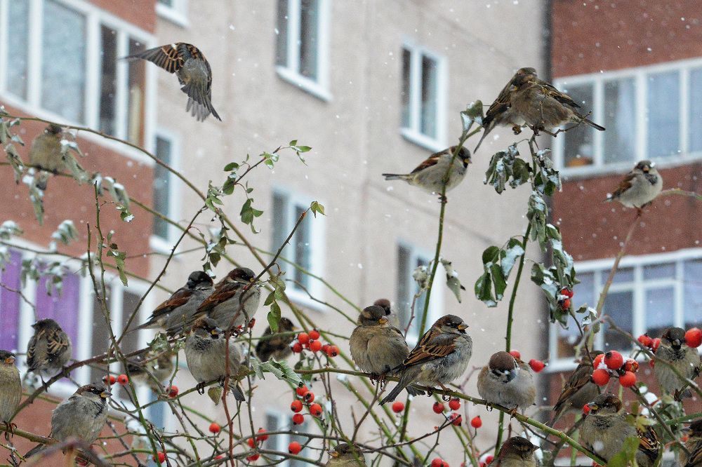 Photograph by Фарит Зиатдинов