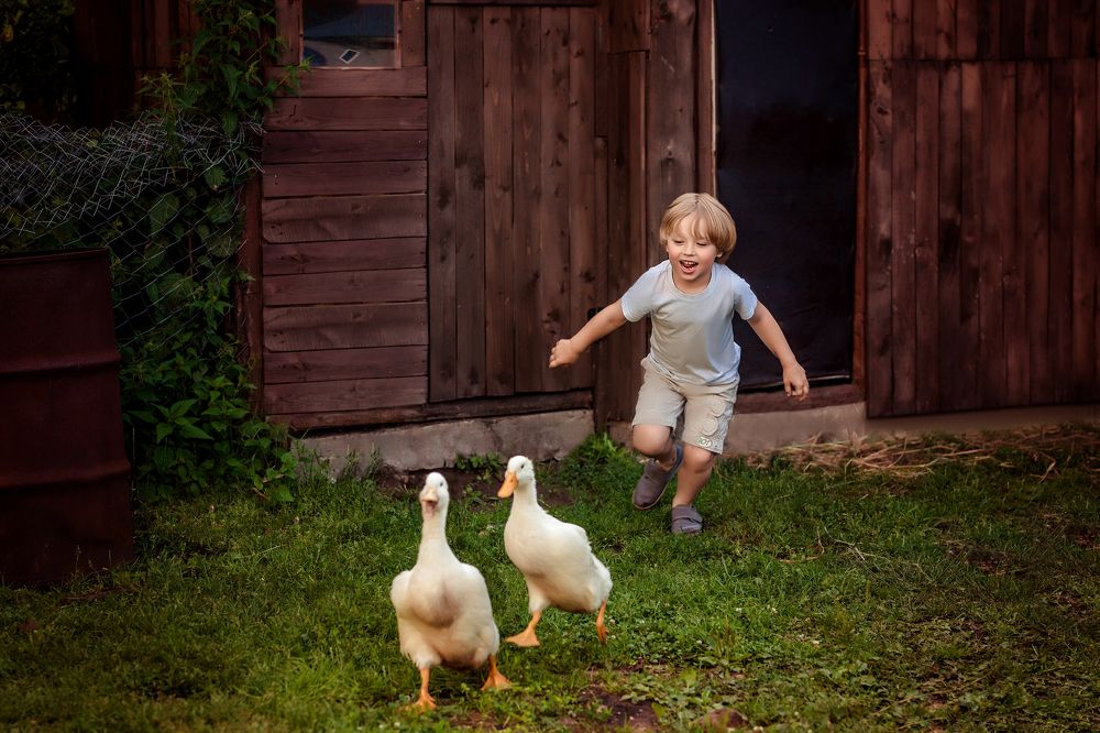 Photograph by Ирина Юрлова