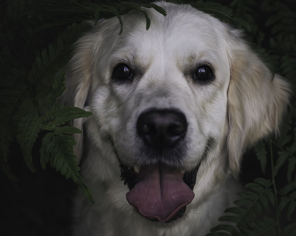 Photograph by Anna Sindikayeva