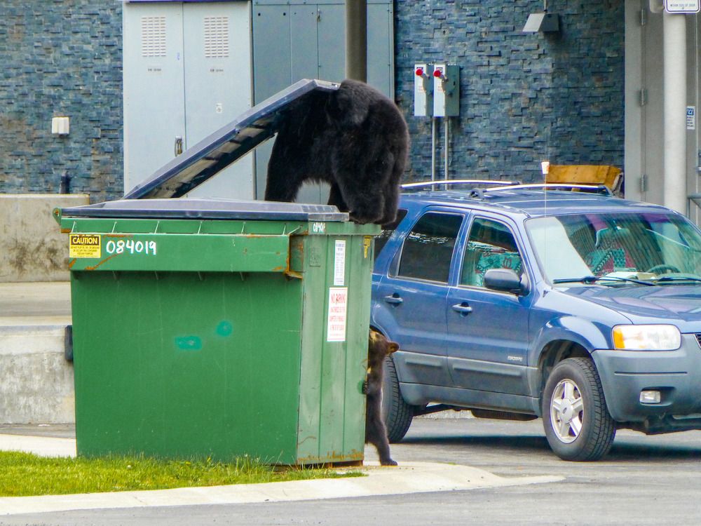 Photograph by Анатолий Костерев