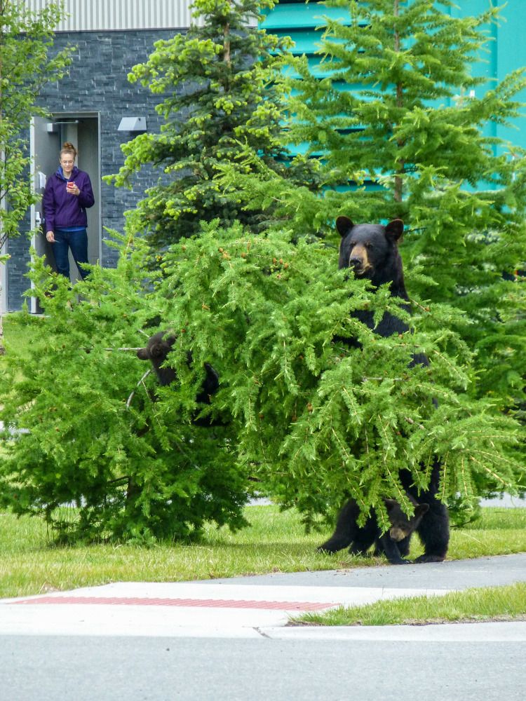 Photograph by Анатолий Костерев