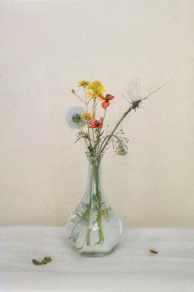 Photograph by Наталия Шляпина