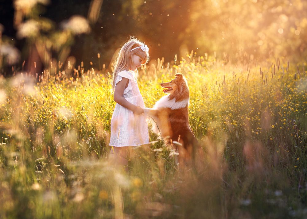 Photograph by Конный фотограф Яна Орлова