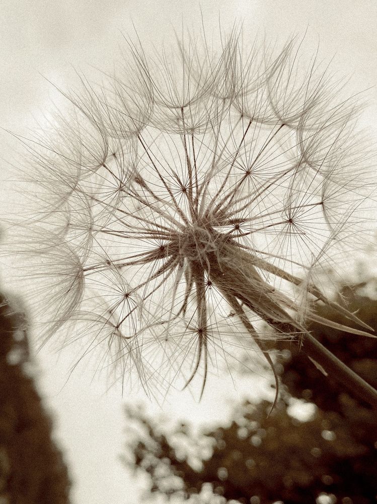 Photograph by Tatjana Schlag