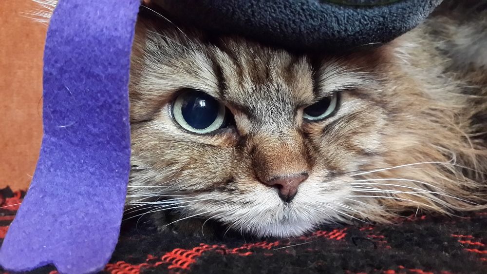 Photograph by Александра Ворона