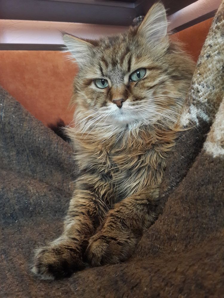 Photograph by Александра Ворона