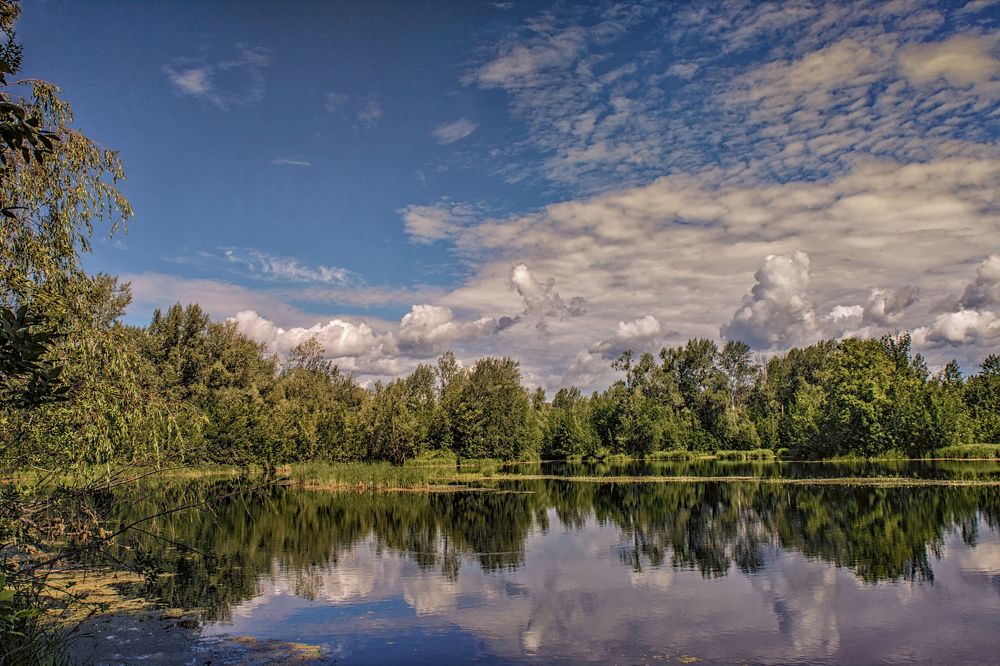 Photograph by Валерий Богачев