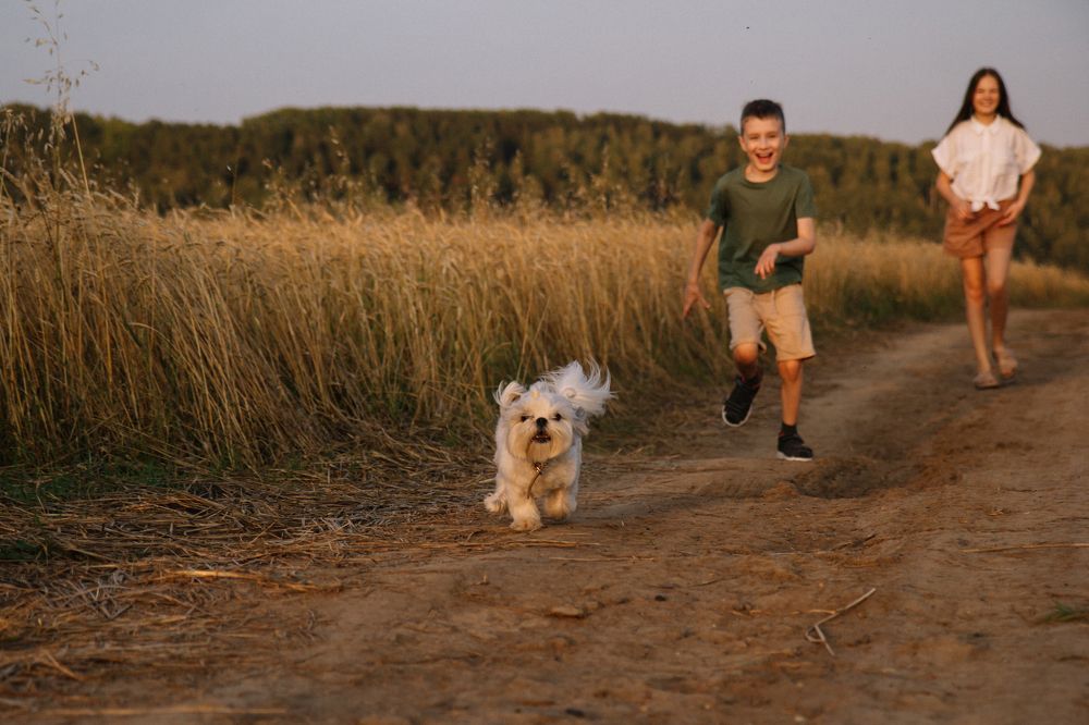 Photograph by Екатерина Максимова