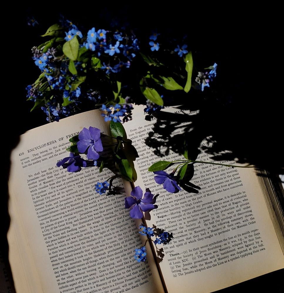 Photograph by Irina Dali