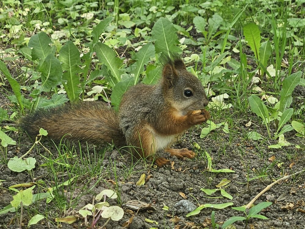 Photograph by Ольга Пришедько