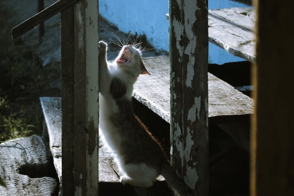 Фотография автора Анастасия Горбунова