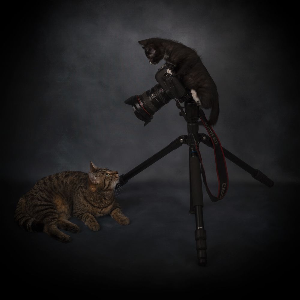 Photograph by Александр Чазов