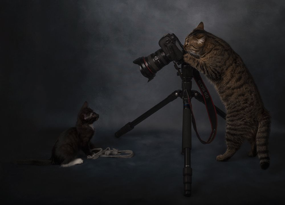 Photograph by Александр Чазов