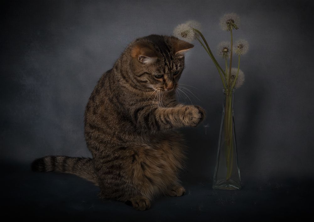 Photograph by Александр Чазов