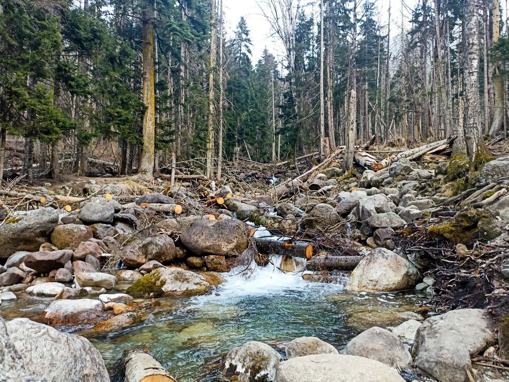 Photograph by Мария