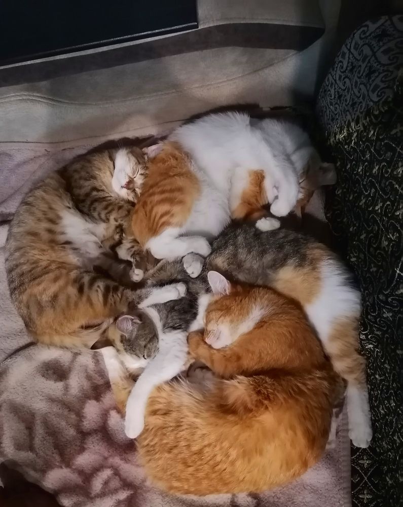 Photograph by Елена Сахарова