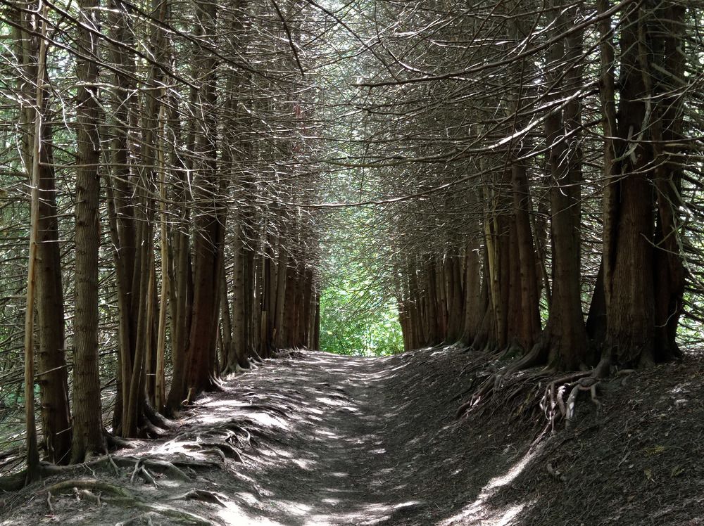 Photograph by Анастасия