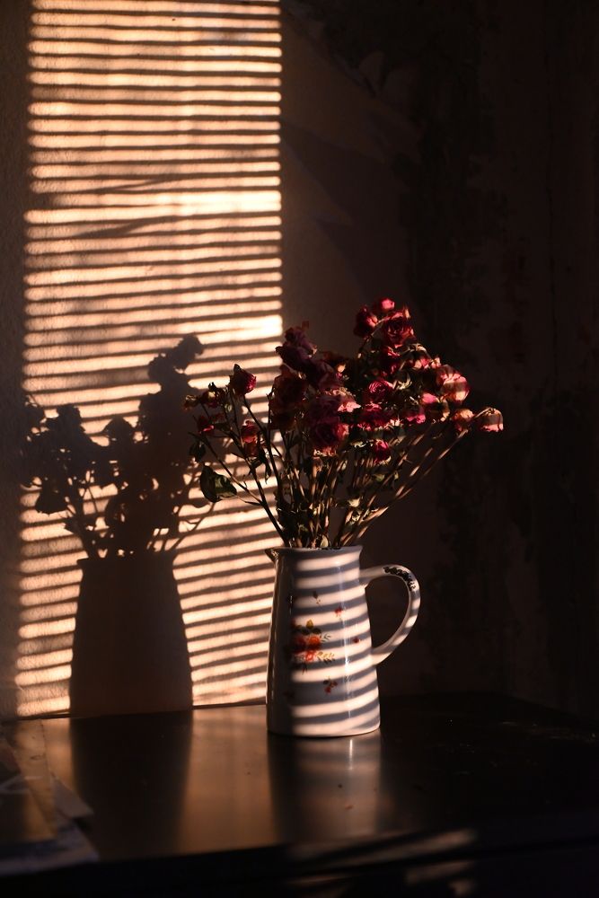 Photograph by Natalia Arsenteva