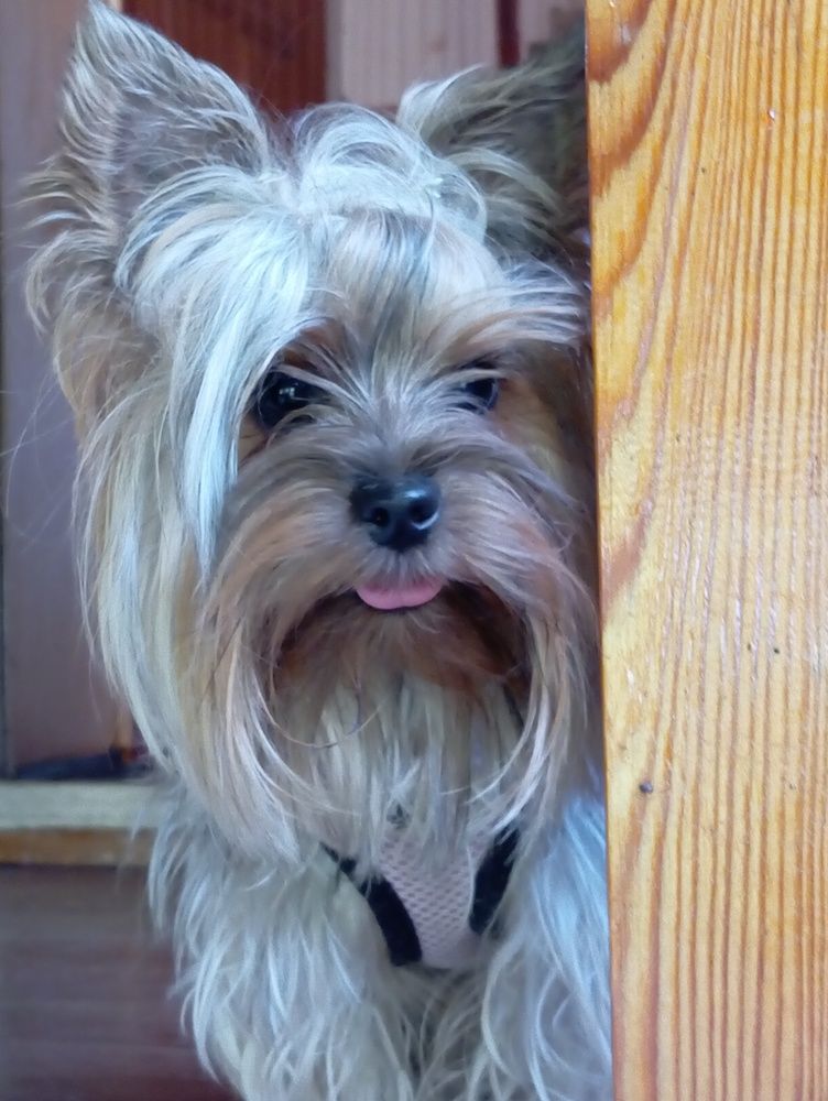 Photograph by Елена Коробченко