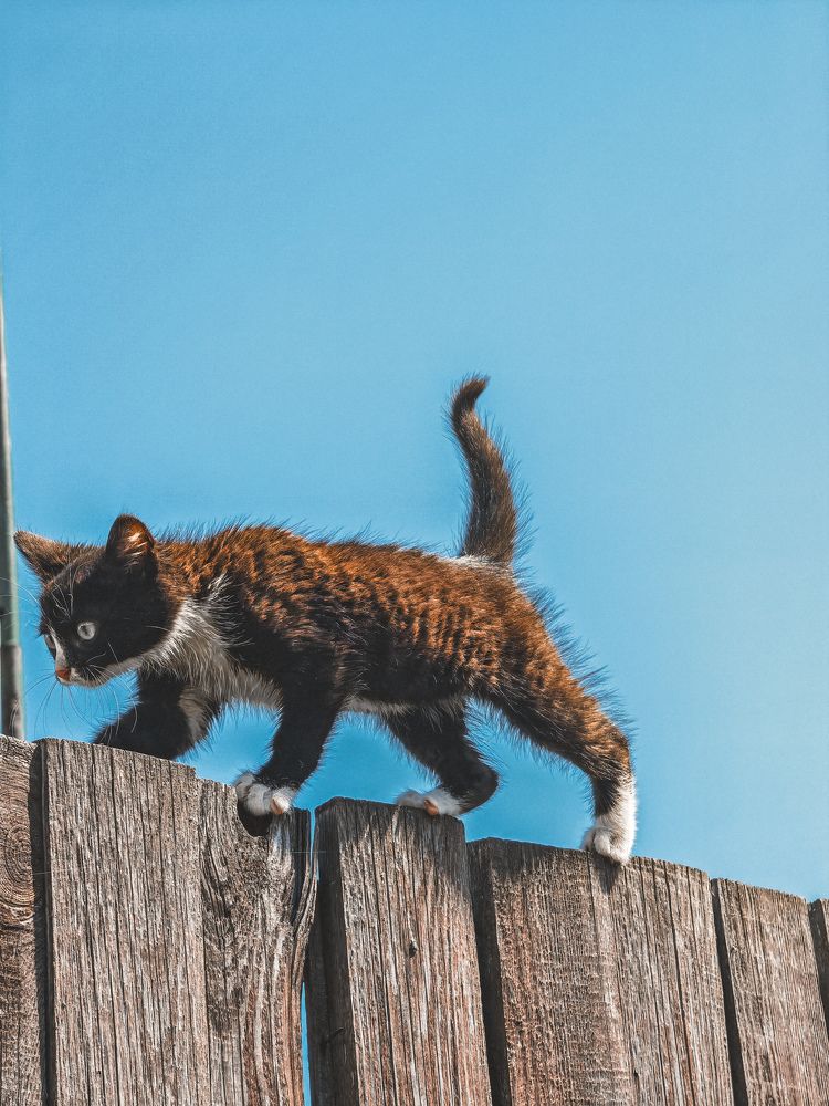 Photograph by Екатерина Савеня