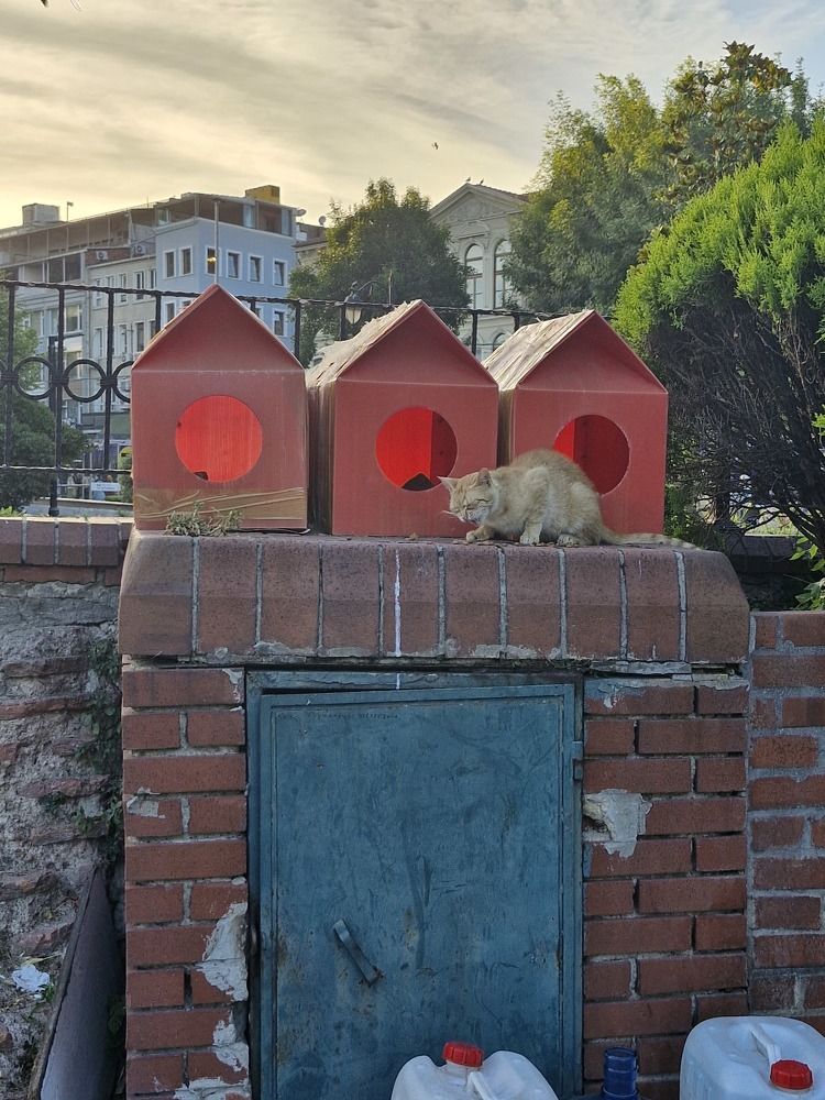 Photograph by Igor Chechin