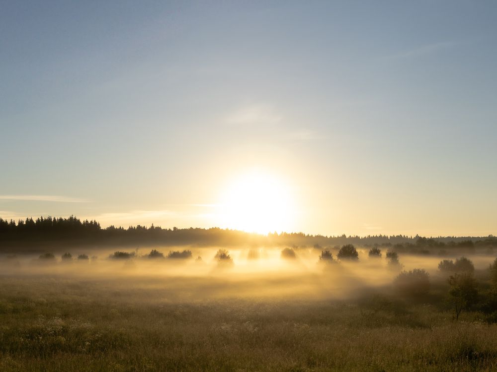 Photograph by Сергей Исправников