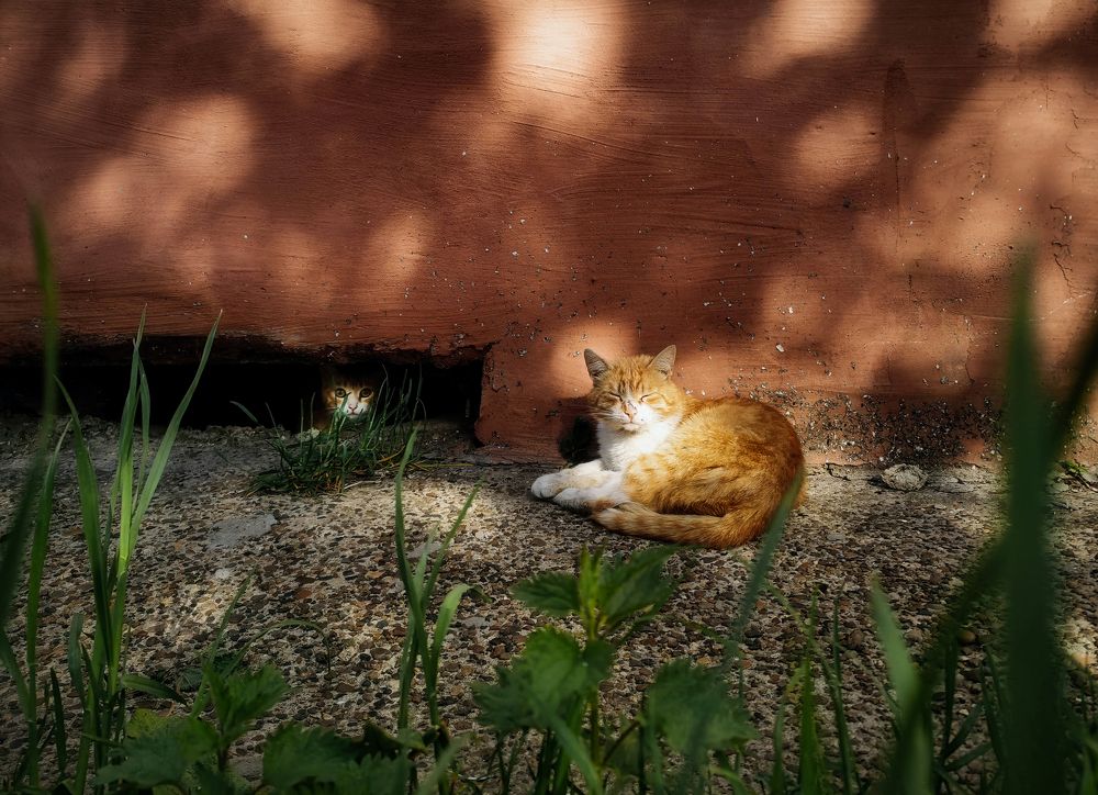 Photograph by Светлана Перминова