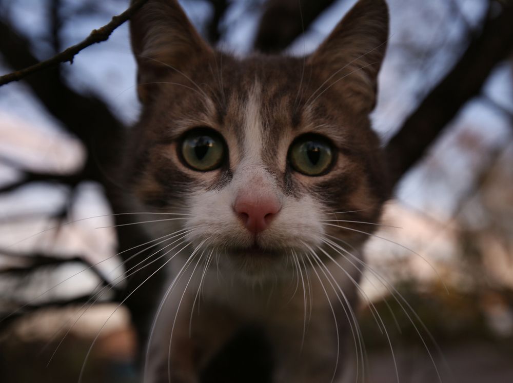 Photograph by Пазняк Игорь