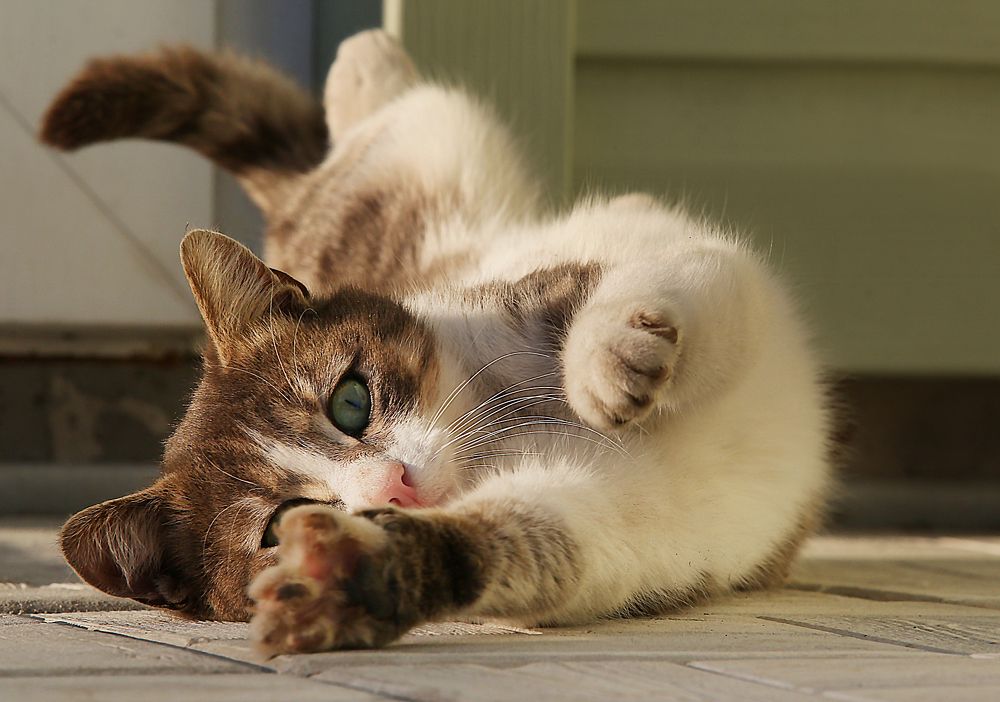 Photograph by Пазняк Игорь