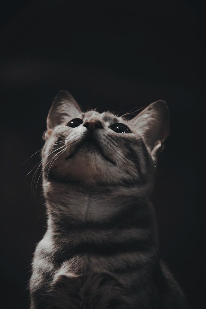 Photograph by Mohab Hussein
