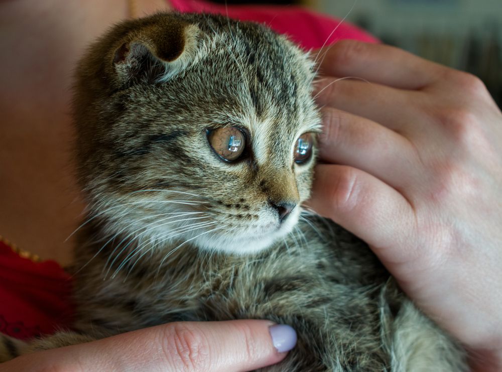 Photograph by Олег Алексеев