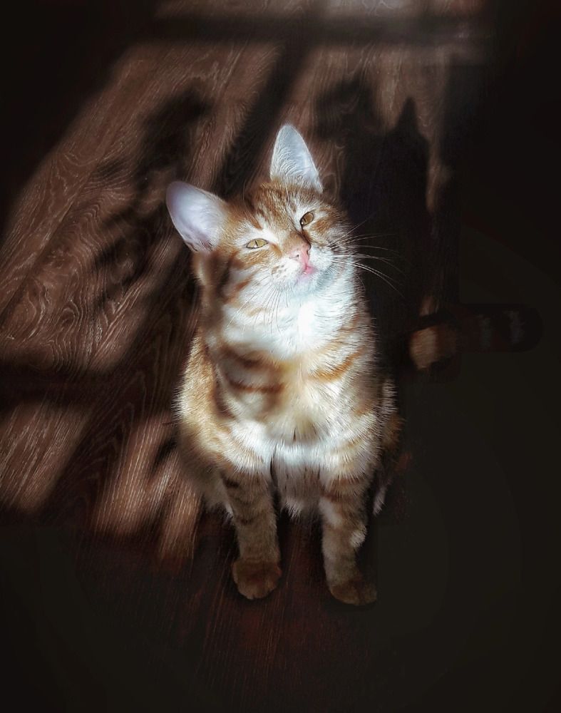 Photograph by Марина Мальцева