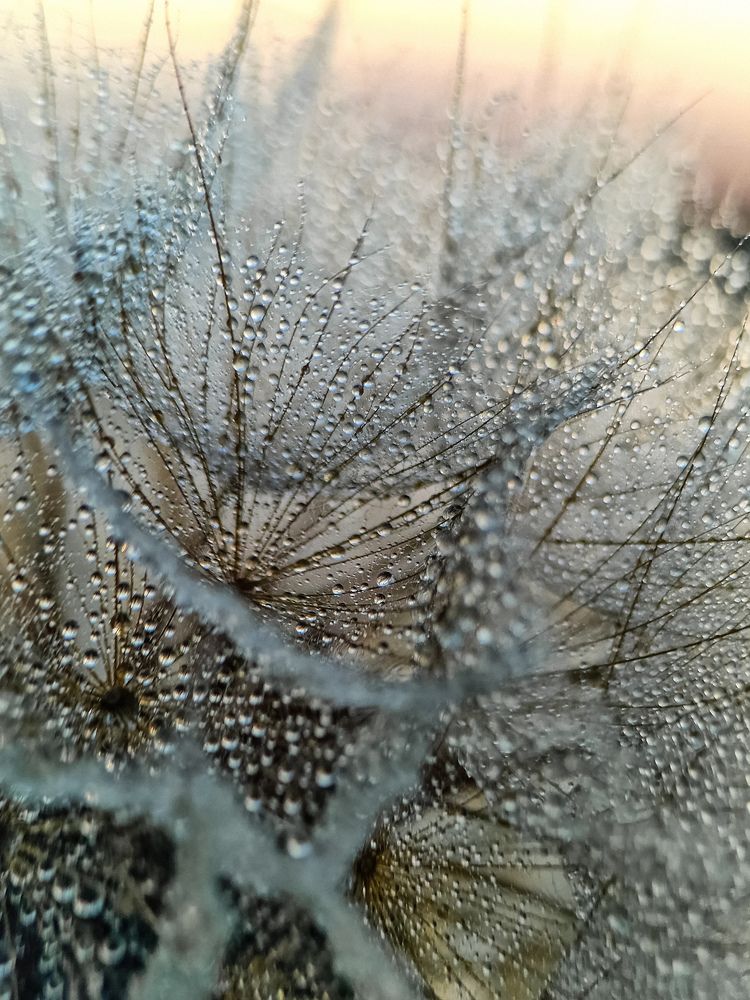 Photograph by Лариса Когтева