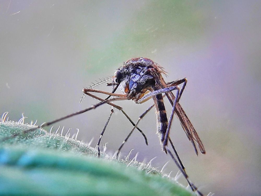 Photograph by Марина Мальцева