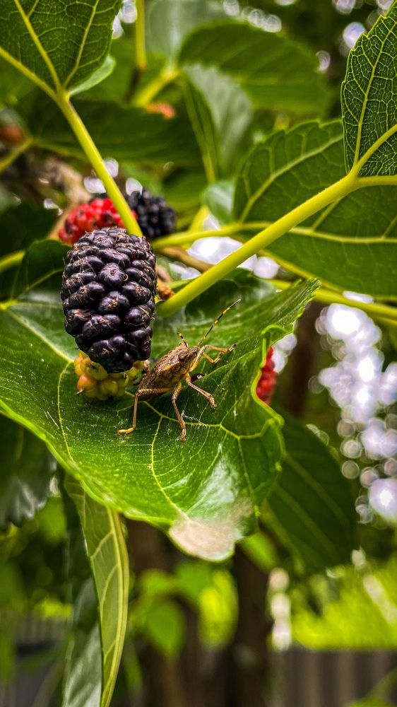 Photograph by Евгений Фисун